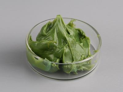 高速轴承应选择哪种润滑脂？